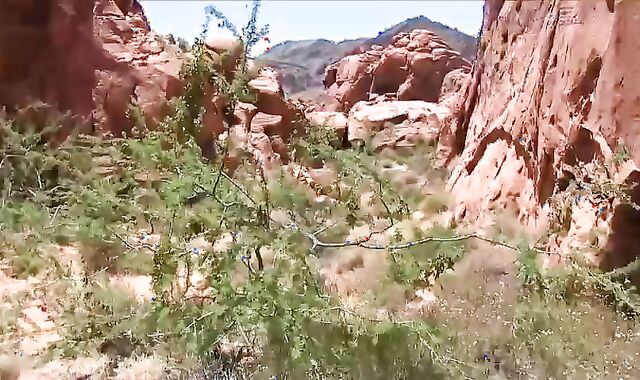 currency Takes Devon S Geyser