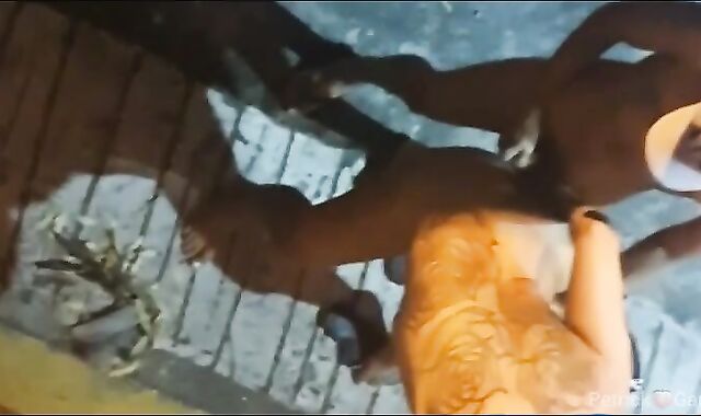 São Paulo Street Orgy