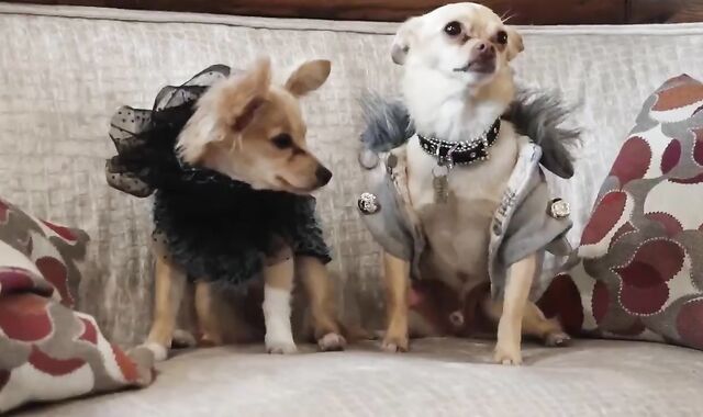 plumbing Firm For Life (unprotected).