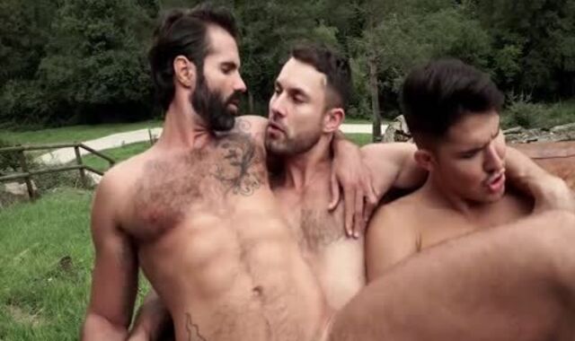 LE - humid Forest bang