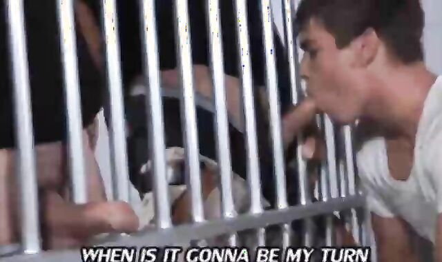 Party And Bate Three