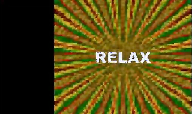 Party And Bate Three