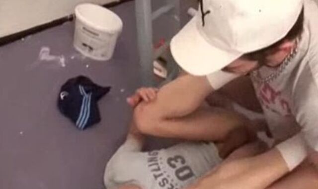 Pet Coast coarse unprotected tearing up