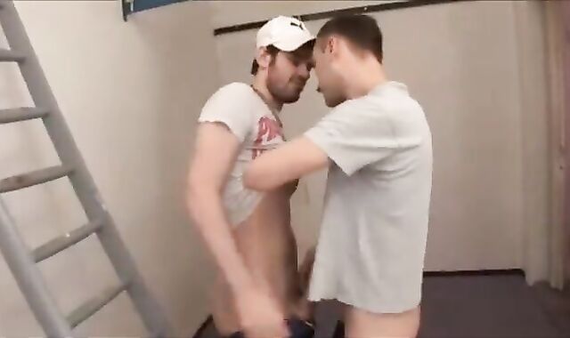 Pet Coast coarse unprotected tearing up