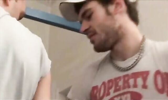 Pet Coast coarse unprotected tearing up