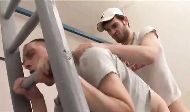 Pet Coast coarse unprotected tearing up