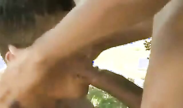 wet Brasilians - Nial