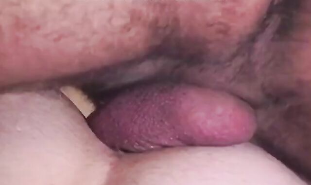 WOLF fuckhole BAREBACKING