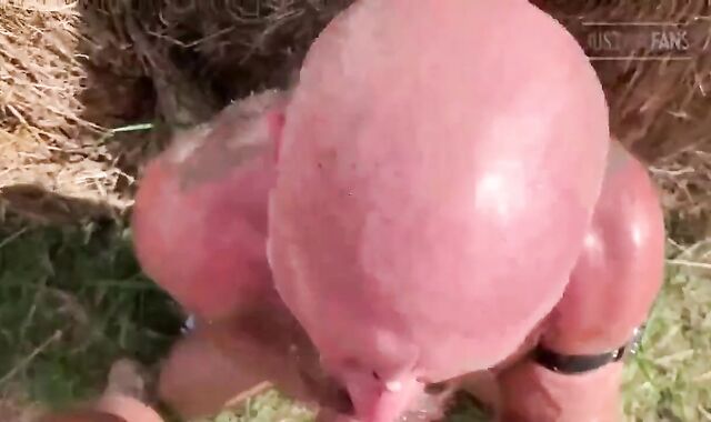 OF - Sean M - Farm Days