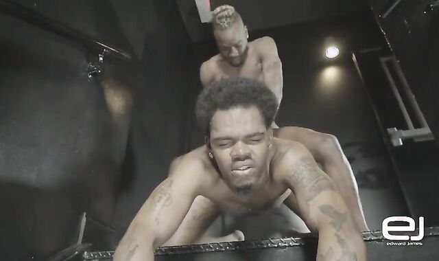 Phoenix And Unlimited Creamz