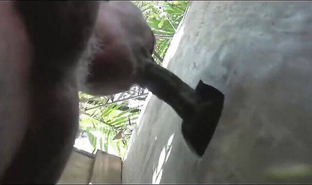 darksome boinks Dad Teddy