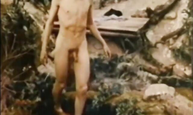 The Uber-sexy Cowboys (1971) Accomplish tweak