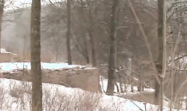 Vimpex fag - bare Scouts