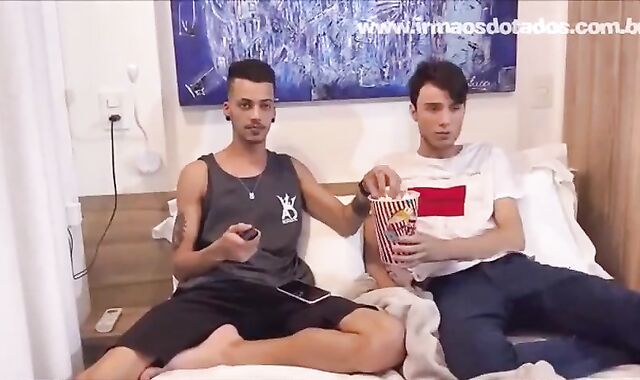 LICENSE-allies Of Guest room