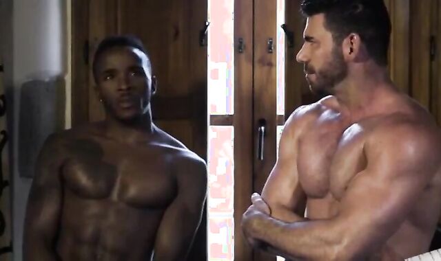 Billy, Pheonix & Klim