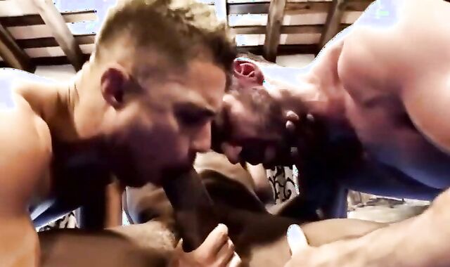 Billy, Pheonix & Klim