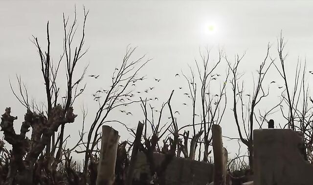 bi-curious-nosey couple pummel With Massage Doctor