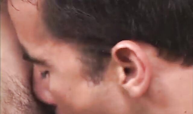 best Of Armando Cortez