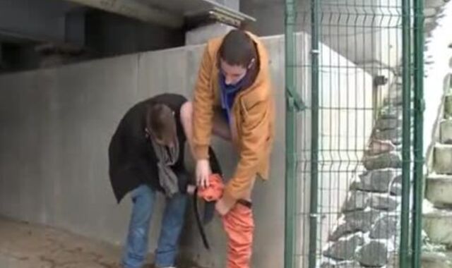 str8 Street Performers