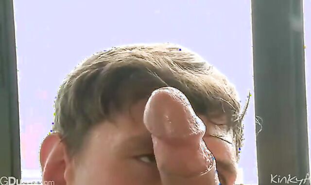 The Innards Of Justin