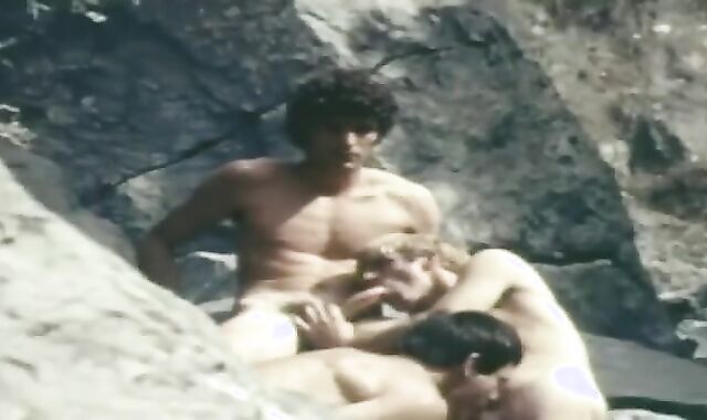 Workmens Compensation (Full clamp)