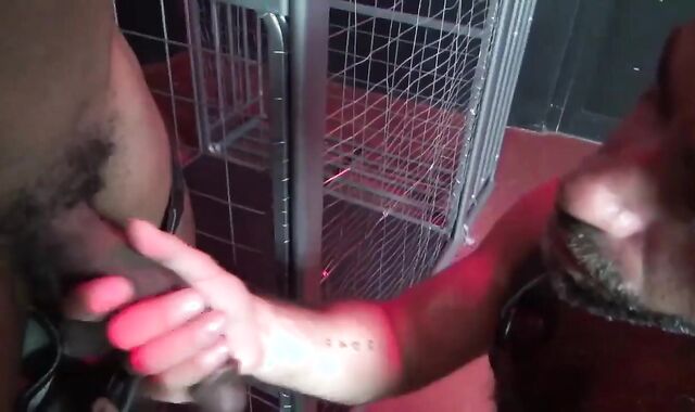 Sweeter Than Trick-or-Treat! two