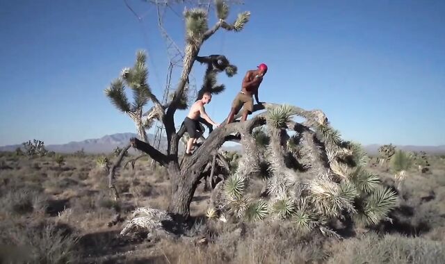 Leo Takes Charles thickest prick