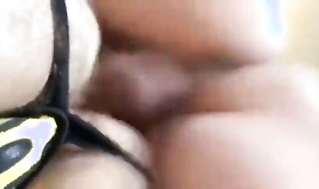 Pig Father pulverize-festival In The Afternoon