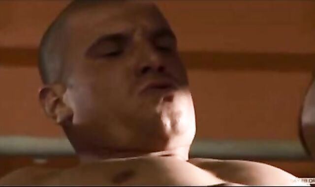 NIBBLE AU CUL PARADISE