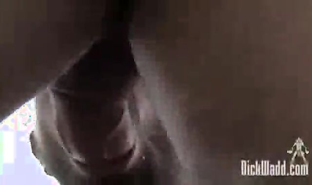 Berlin Pigs two bone Wadd