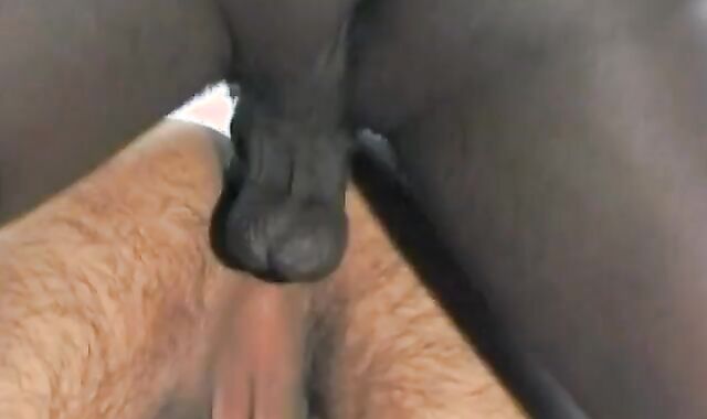 Bisexous-racial pin with bottom taking humongous salami