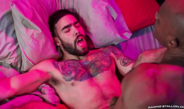 OSIRIS BLADE & PAPI SUAVE - rubber-free-for-all CRASH PAD - RS