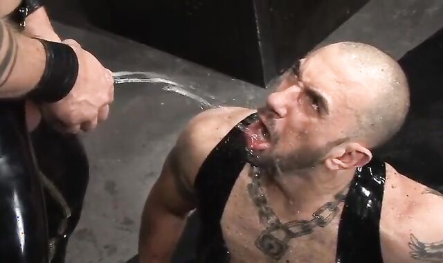 Training The recent Gimp