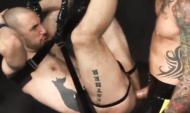 Training The recent Gimp