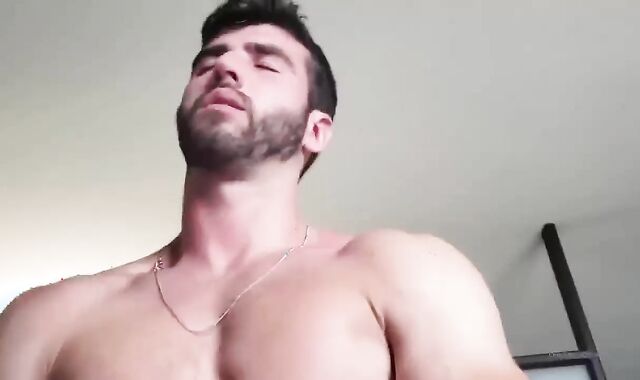 recent flick sequence 301
