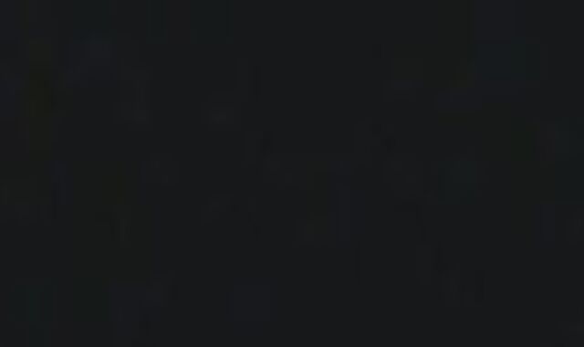 Vintage Brothers Full