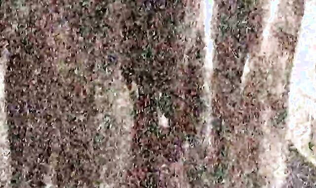 unprotected Frat plenty of-ravage-a-thon