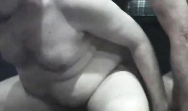 Mature grandpa silver bear and younger play