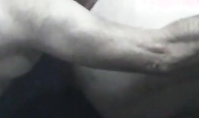 Mature grandpa silver bear and younger play