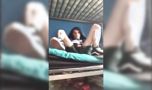 The Exhibit Guy at the house