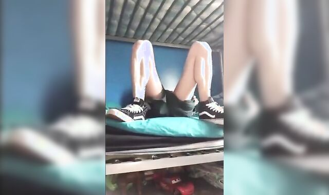 The Exhibit Guy at the house