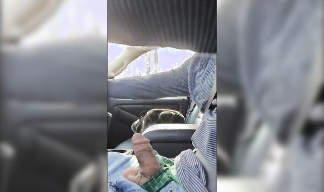 Jerking While Driving on Highway