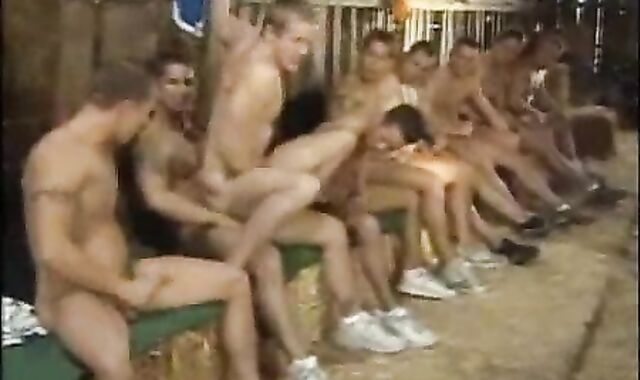 Farmboy acquires tear up