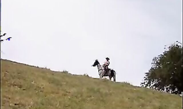 Mavericks two