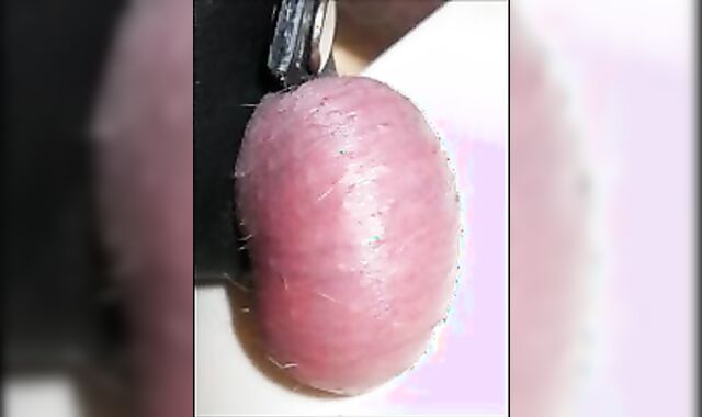 Ramrods, Sack, Cock and Ball Play