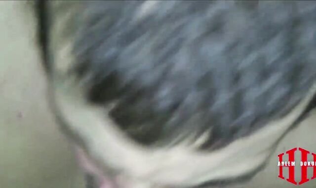 The darksome chap Gobbles It And I pulverize Him nude We Meet A 3Rd Soiree And We boink All Trio Rigid