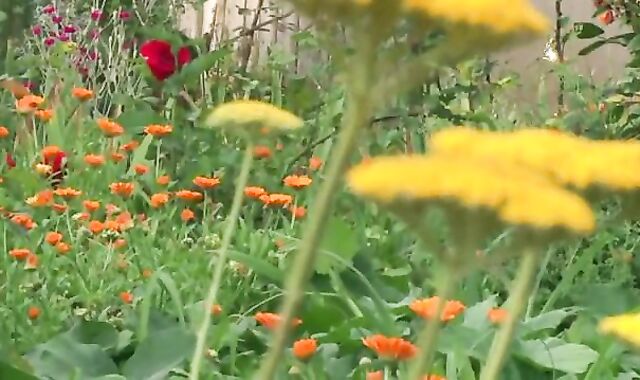 Grief At The Chateau flick 1