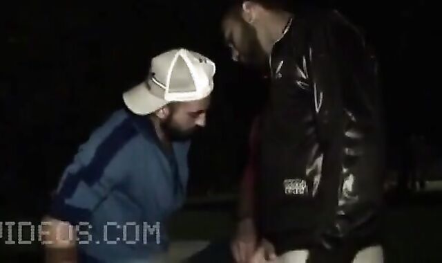 Rocco yam-sized Cruising Park