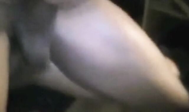 Amateur Black Bareback Creamy Fuck