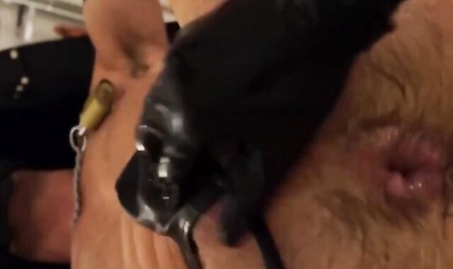 Muscle Studs Fisting Fun: Anal Orgasms